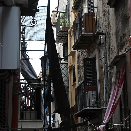 Suitt Drims 6 * Palermo